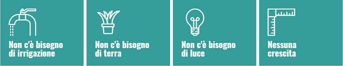 Green Days Giardini Giardini verticali Vespolate: preventivo, offerta, prezzo
