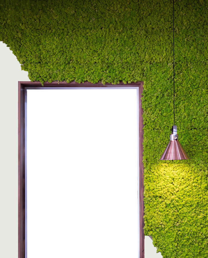 giardini verticali stabilizzato e in verde vivo